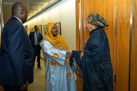 Chad: Humanitarian Crisis As Floods, Prolonged Heavy Rains .